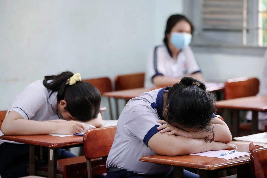 Số môn học ở Việt Nam gấp đôi các nước, lo học sinh quá tải, bị nhồi nhét - 1