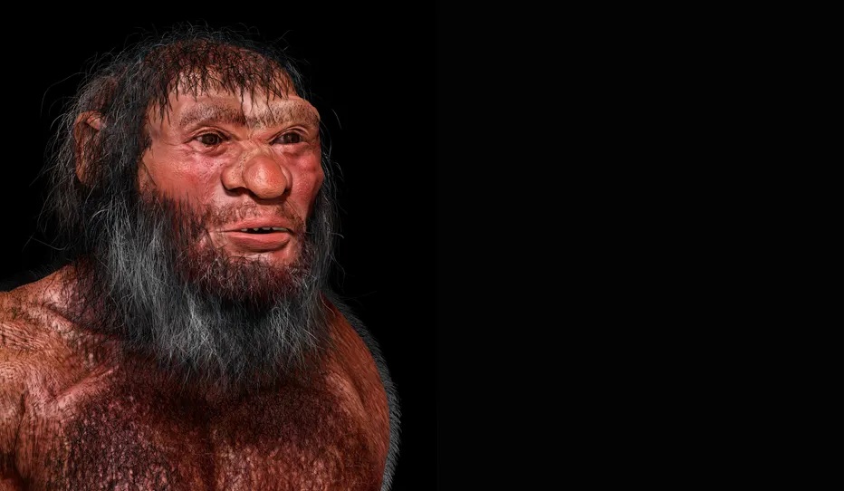 Sự thật về hài cốt Người Rồng khổng lồ ở Cáp Nhĩ Tân - Ảnh 1.