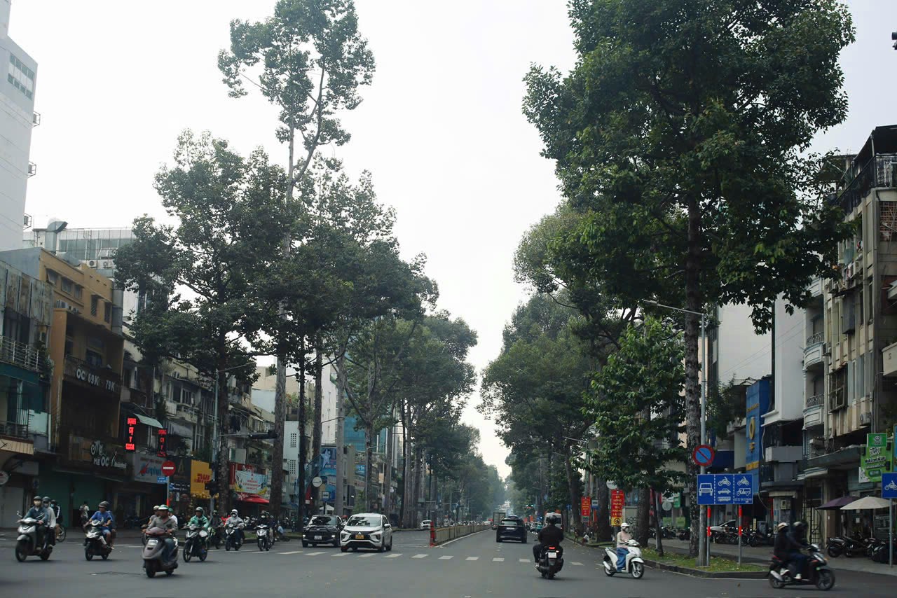 TP HCM tăng tốc xanh hóa đô thị - Ảnh 1. TP HCM tăng tốc xanh hóa đô thị - Ảnh 1.