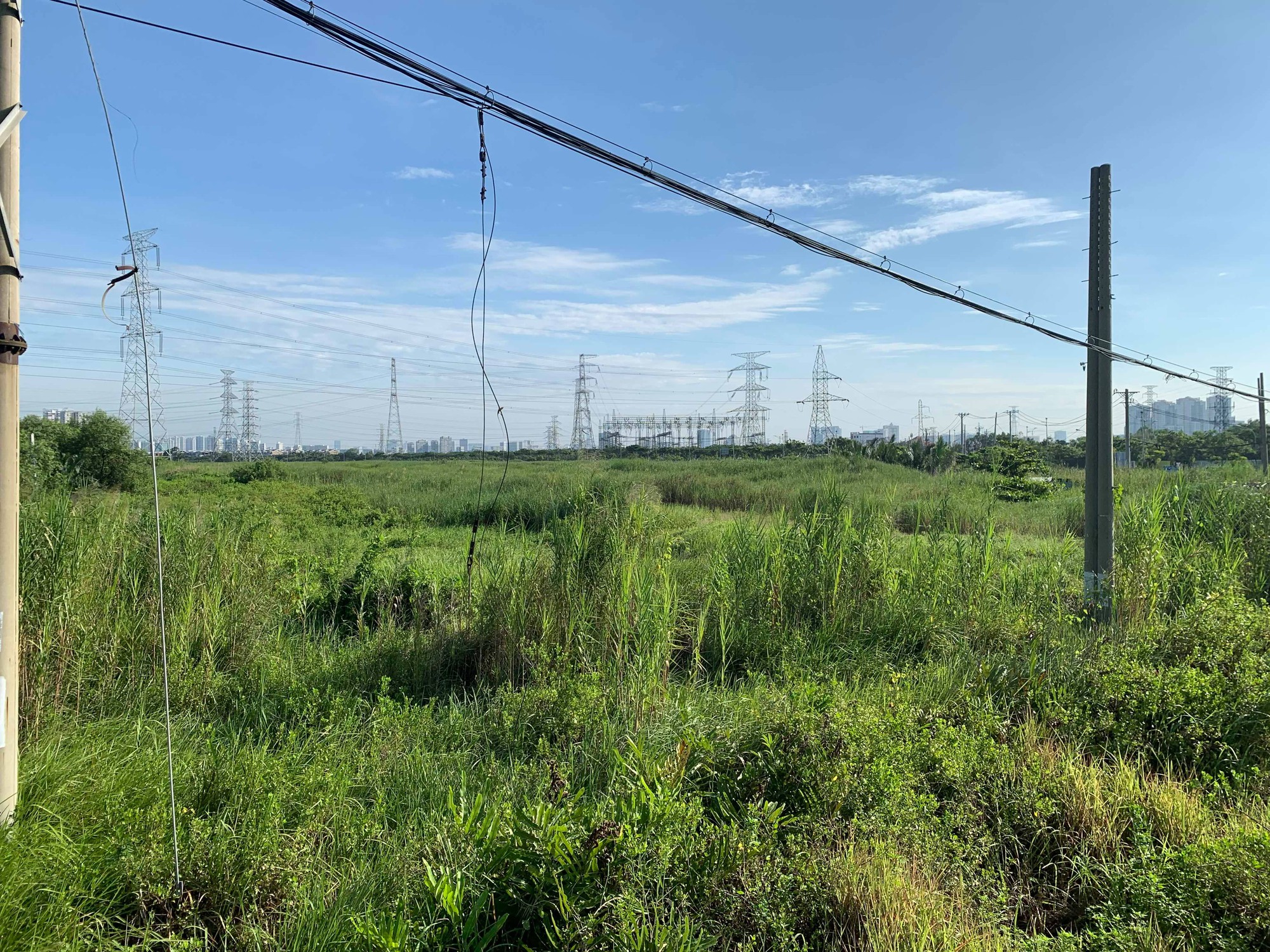 TP.HCM sẽ điều chỉnh tăng giá đất nông nghiệp   - Ảnh 1.