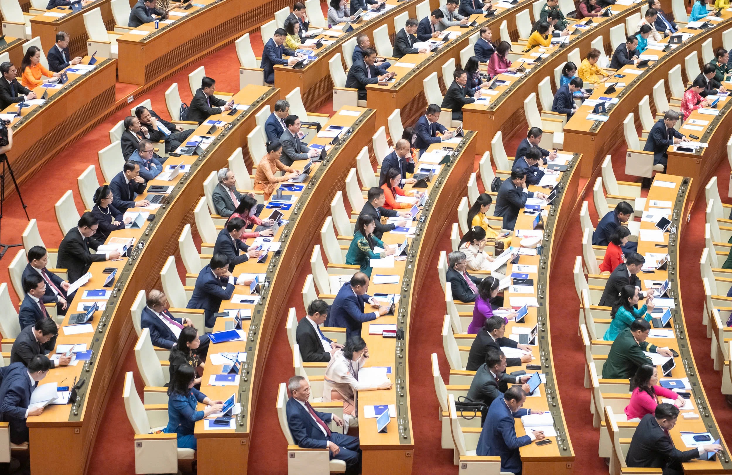 TP.HCM tiếp nhận hồ sơ ứng cử đại biểu Quốc hội và HĐND từ ngày 15.12 - Ảnh 1.