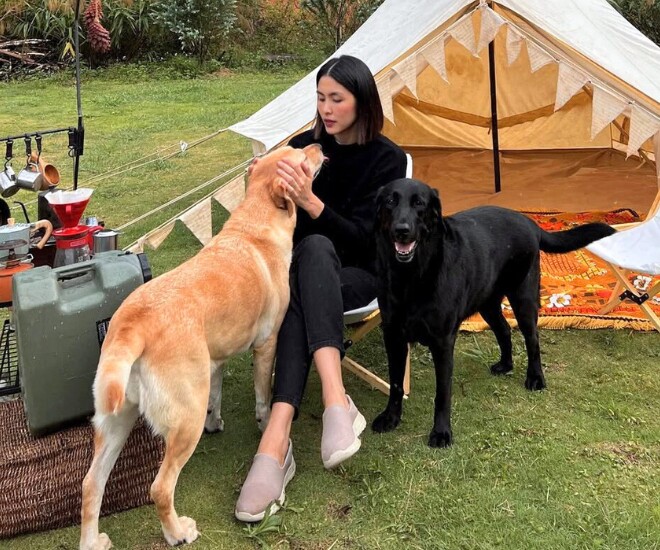 Tăng Thanh Hà bật khóc tạm biệt chú chó cưng sau 13 năm nuôi dưỡng, Lệ Quyên gửi lời chia buồn 1 Tăng Thanh Hà thường chia sẻ hình ảnh quây quần bên 2 chú chó tên Molly và April.