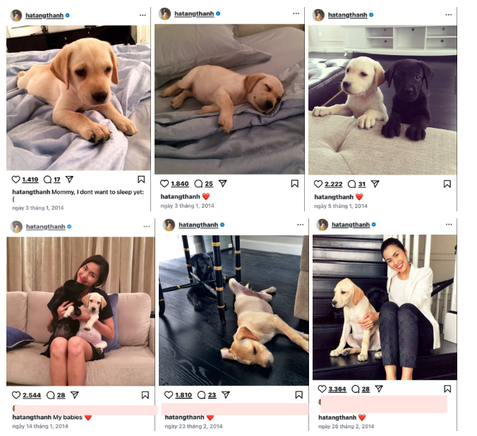 Khoảnh khắc đặc biệt của Tăng Thanh Hà và Molly trong hành trình 12 năm bên nhau - Ảnh 1.