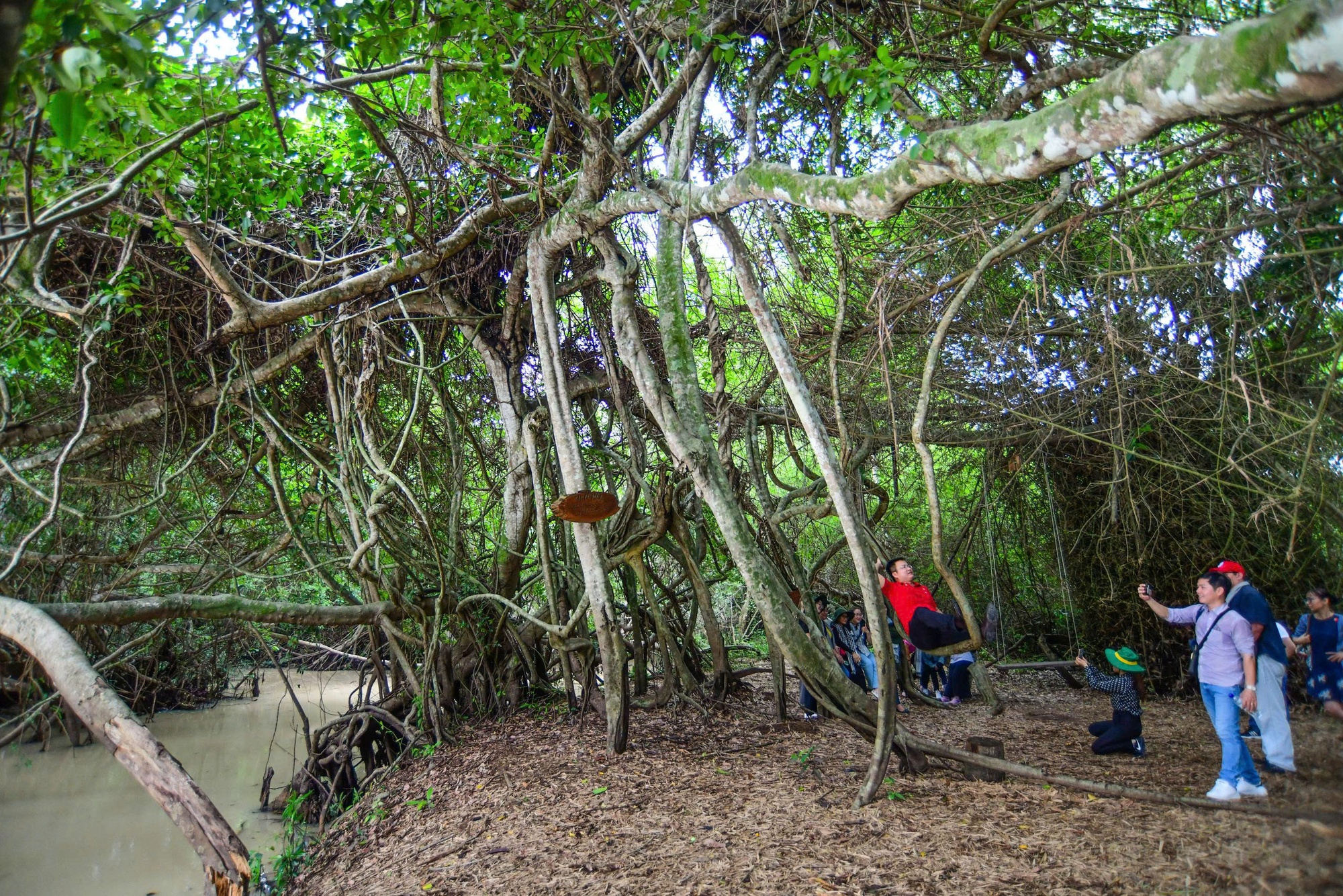 Tây Ninh mới: một trục, một dòng chảy 1 Tây Ninh mới: một trục, một dòng chảy - Ảnh 1.