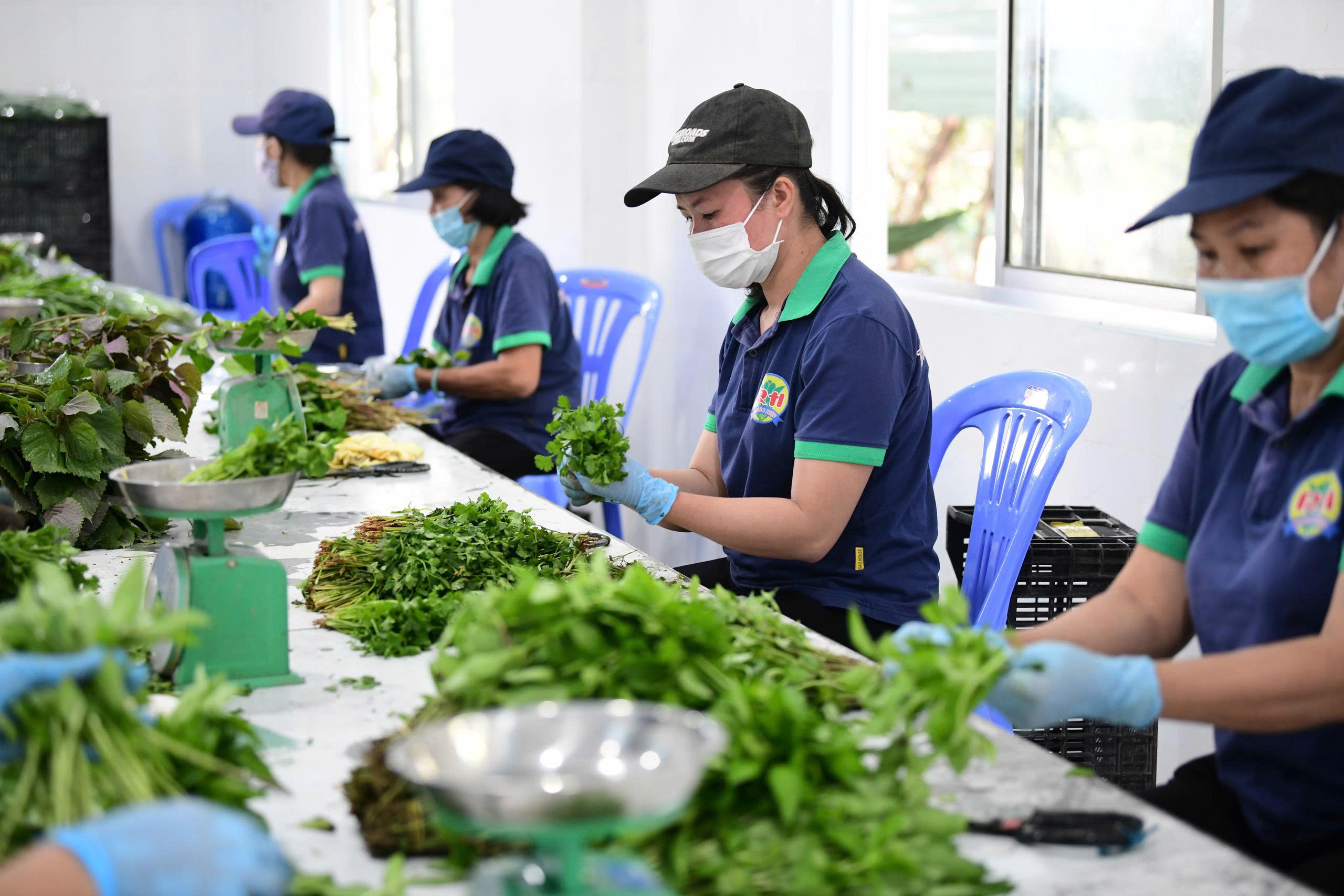 Tây Ninh trước cơ hội cân bằng kinh tế môi trường 1 Tây Ninh - Ảnh 1.