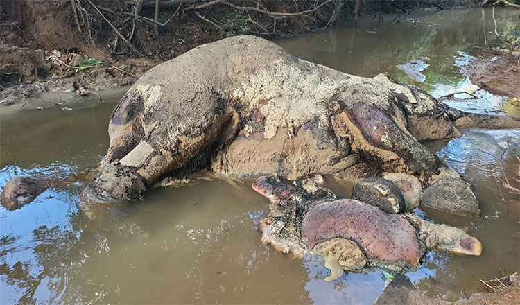 đàm phán - Ảnh 2.