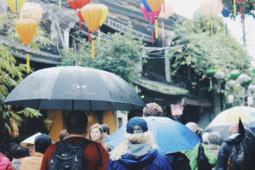 Kinh nghiệm du lịch mùa mưa không ngại thời tiết ở Việt Nam