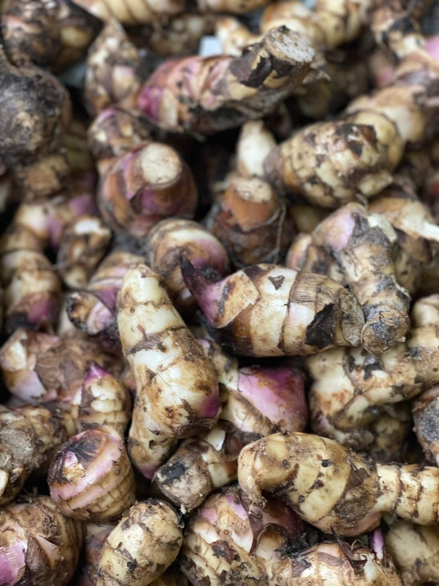 Thanh niên đăng clip ăn gừng luộc rưới sữa đặc giữ ấm mùa đông khiến toàn thể dân mạng... bị lừa!- Ảnh 11. Thanh niên đăng clip ăn gừng luộc rưới sữa đặc giữ ấm mùa đông khiến toàn thể dân mạng... bị lừa!- Ảnh 11.