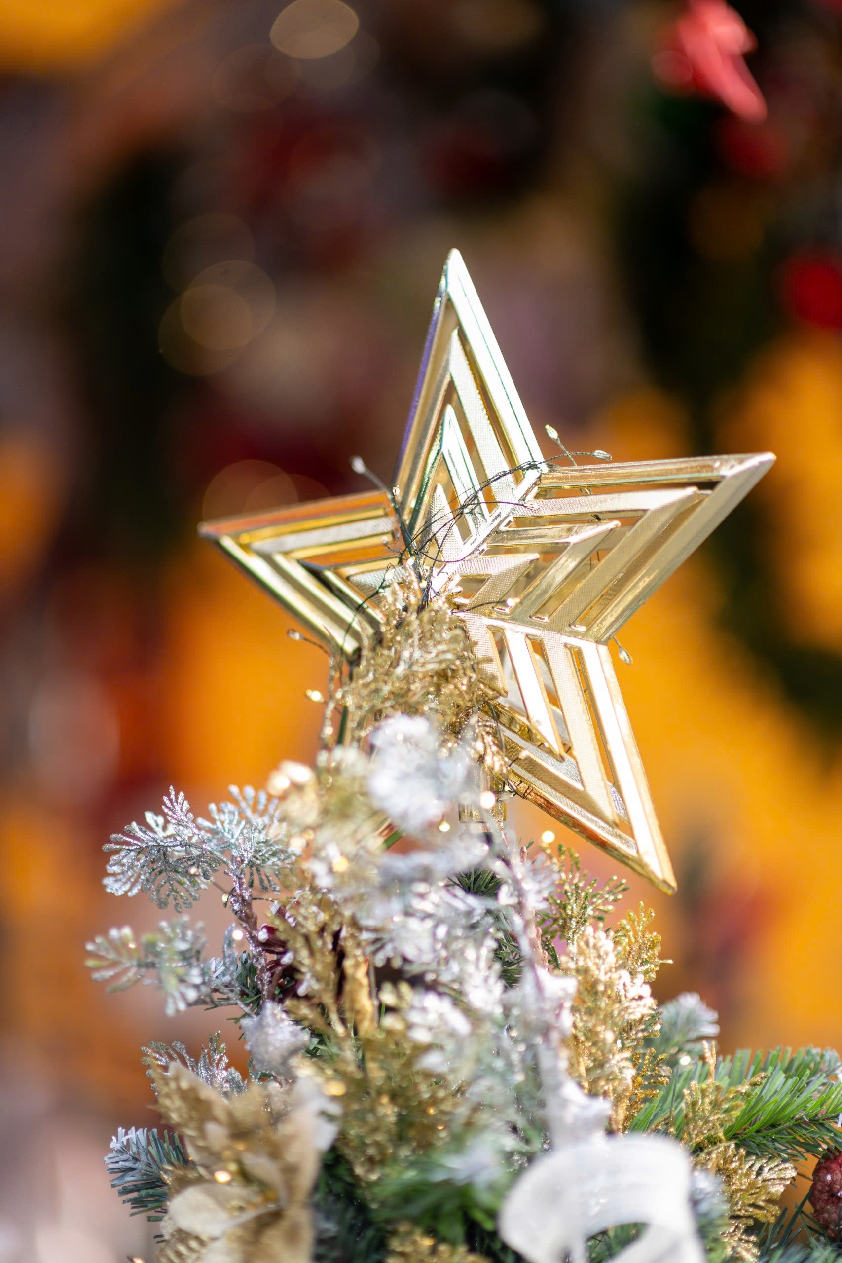 Thắp sáng mùa Giáng sinh trên thành phố mang tên Bác- Ảnh 2. Thắp sáng mùa Giáng sinh trên thành phố mang tên Bác- Ảnh 2.