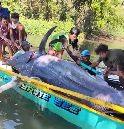 Ngư dân vật lộn nghẹt thở với Ngư dân vật lộn nghẹt thở với