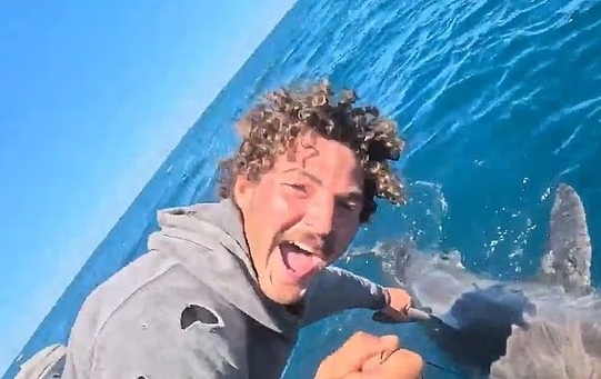 Thợ mộc trẻ kinh ngạc khi câu được cá mập trắng khổng lồ dài 2 mét- Ảnh 1.