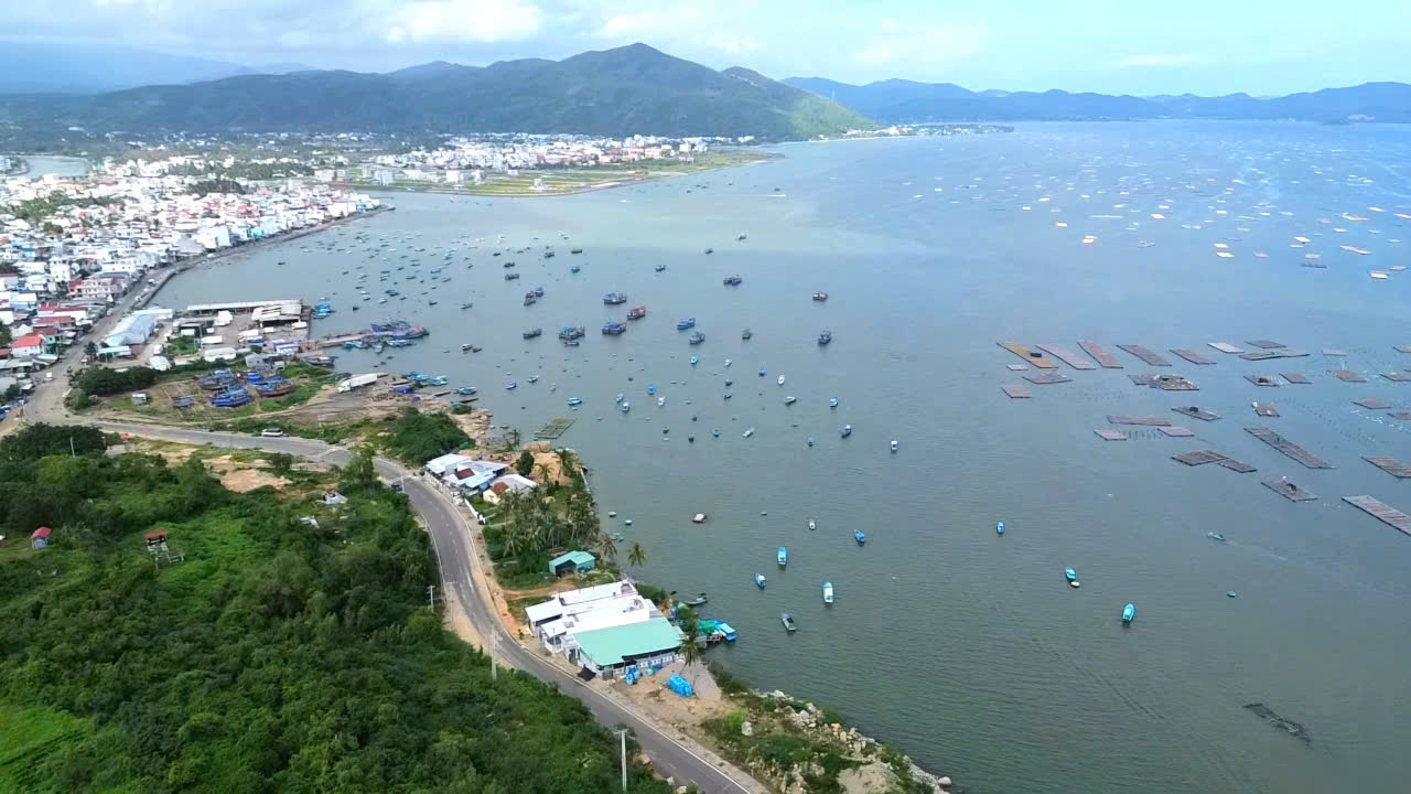 Thủ phủ tôm hùm hồi sinh - Ảnh 2.