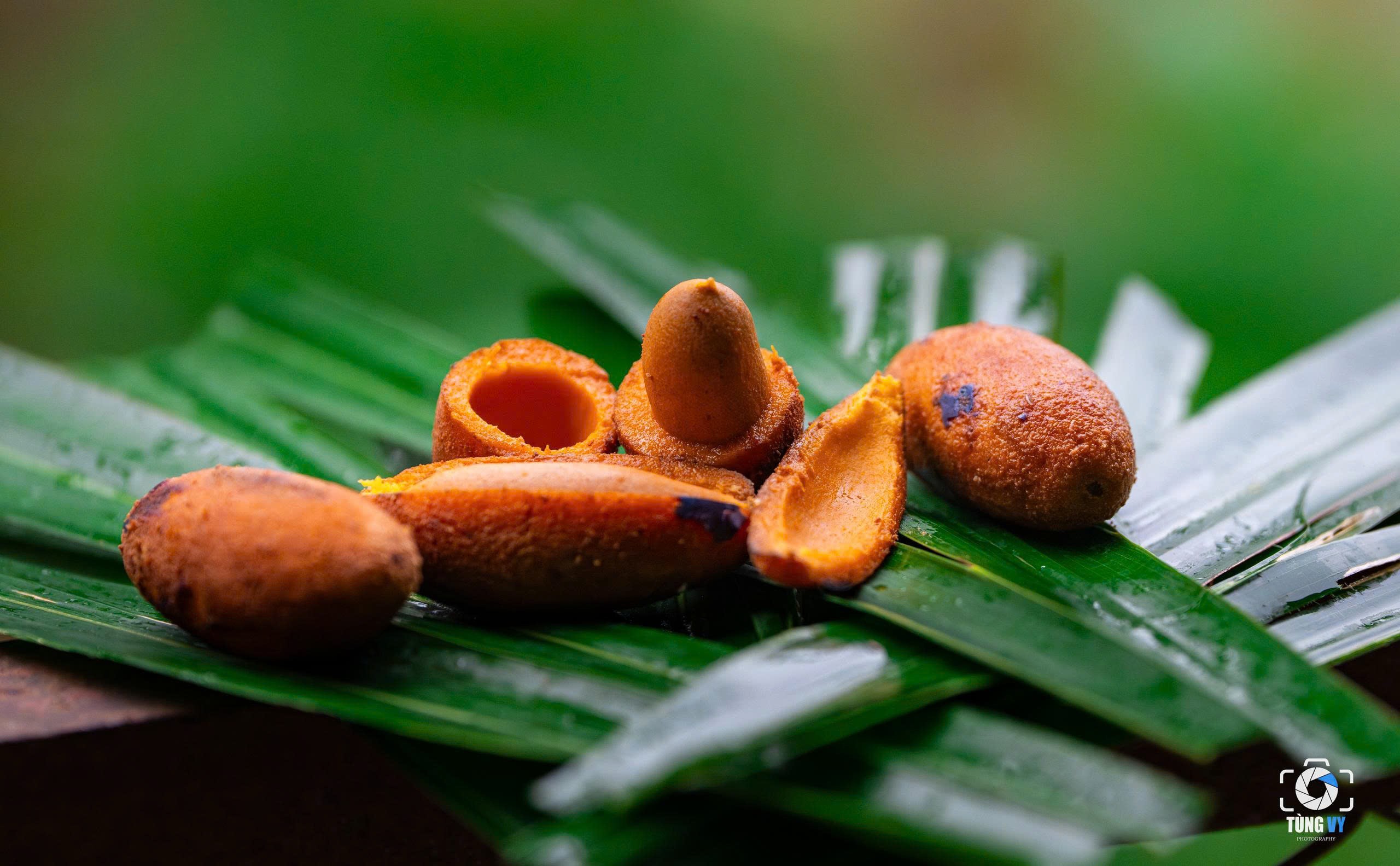 Thứ quả đen sì mọc đầy đồi núi Phú Thọ, đến mùa thành đặc sản gây nghiện - 1