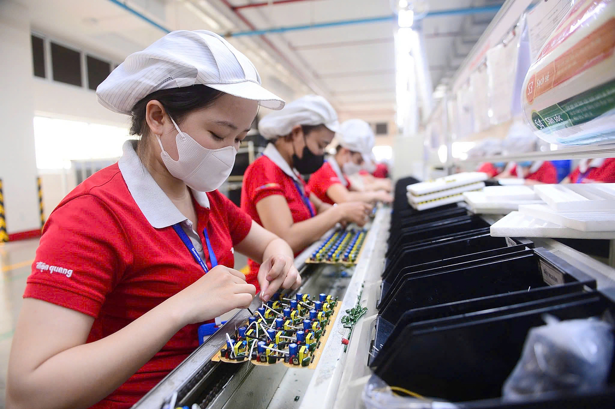 thuê đất - Ảnh 1.