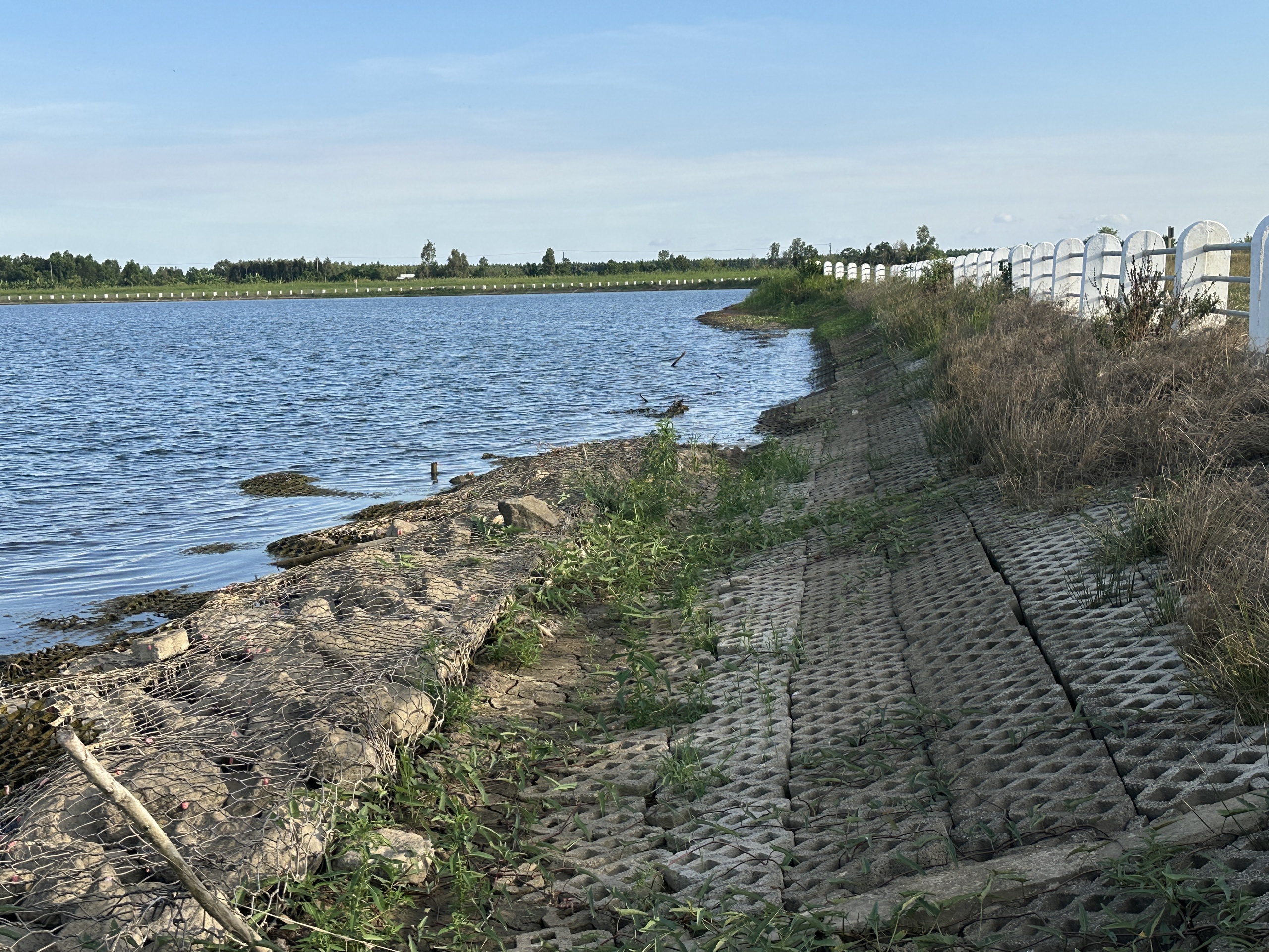 Tiểu dự án 8 ICRSL tại Cà Mau hoàn thành nhưng nợ đọng hơn 18,5 tỉ đồng- Ảnh 1. Tiểu dự án 8 ICRSL tại Cà Mau hoàn thành nhưng nợ đọng hơn 18,5 tỉ đồng- Ảnh 1.