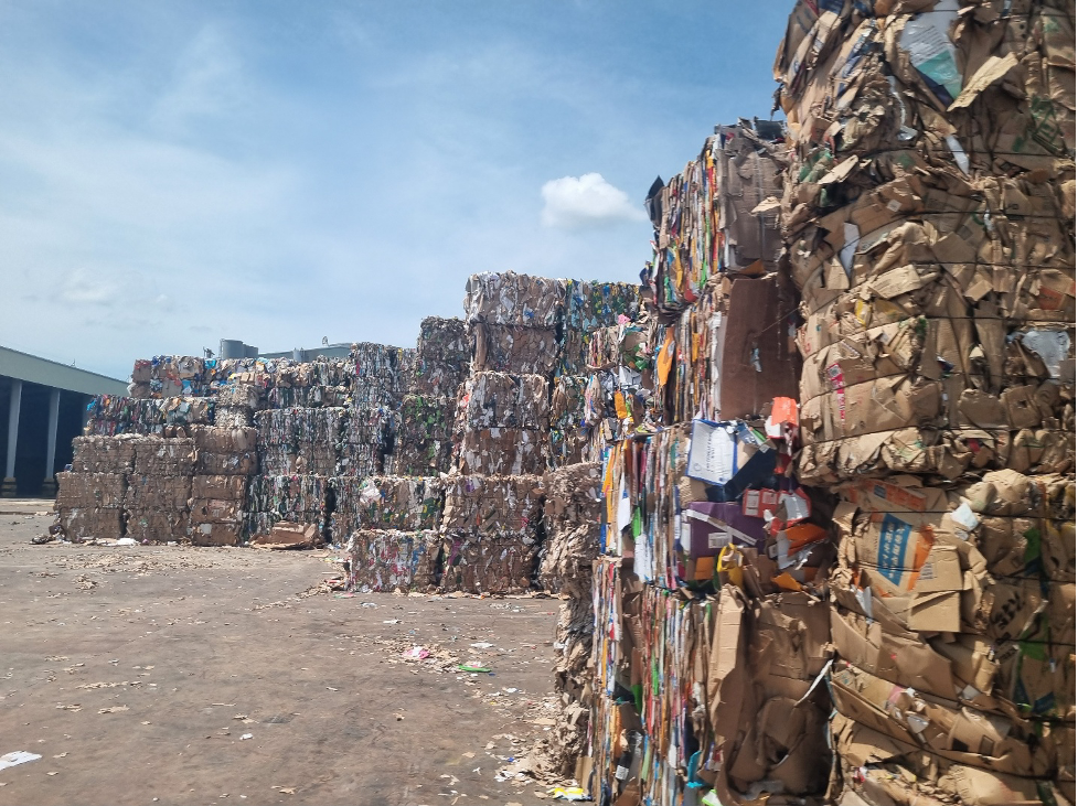 Tiêu dùng xanh định hình phong cách sống, mở lối cạnh tranh cho doanh nghiệp 3 tiêu dùng xanh - Ảnh 3.