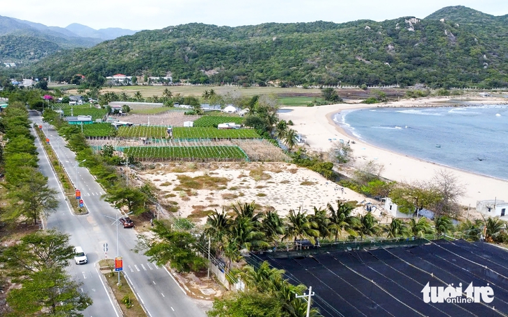 trụ sở dôi dư - Ảnh 3.