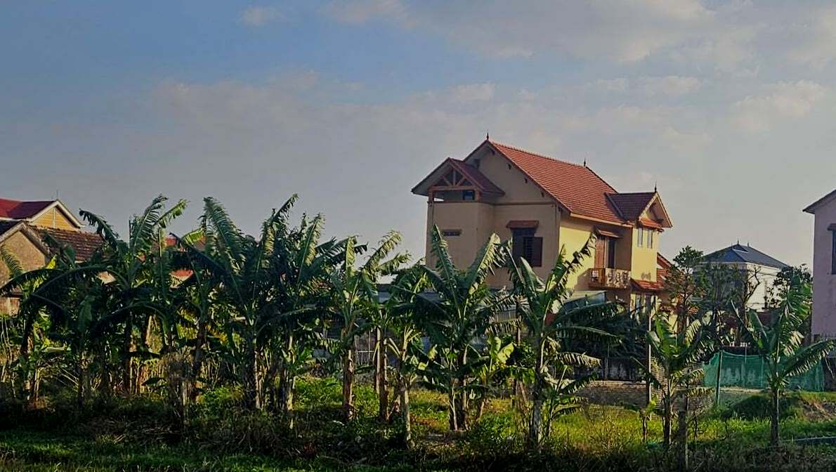 Tổ dân phố cho cựu bí thư xã thuê đất giá 500.000 đồng/năm, quy định cho thuê đất công ra sao? - Ảnh 1.