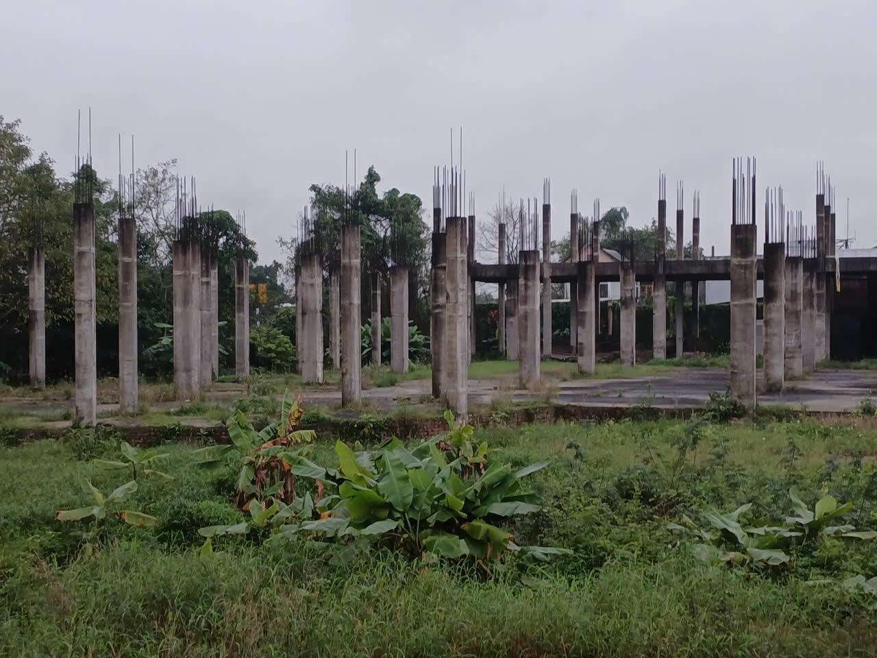 - Ảnh 3. - Ảnh 3.