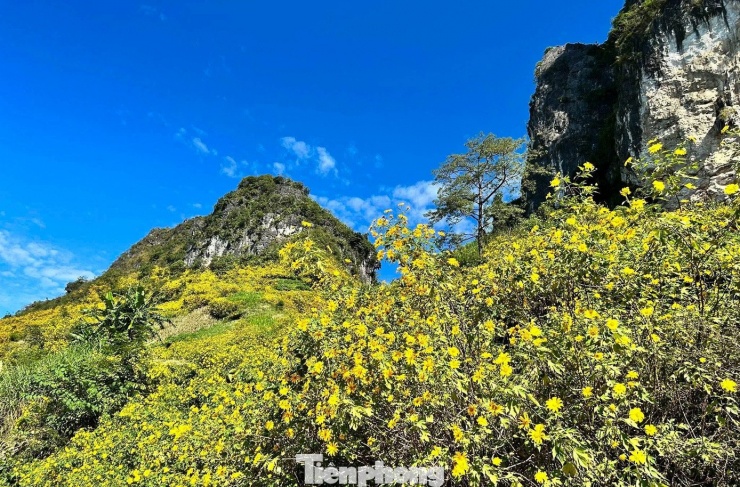 Tới Cao Bằng mùa này, du khách thốt lên: 'Đứng góc nào cũng có ảnh đẹp' - 1