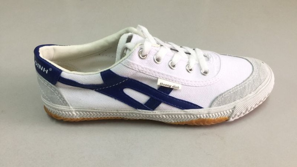 Trả gấp 10 lần giá khởi điểm, 2 nhà đầu tư ôm trọn cổ phần Giày Thượng Đình - 1