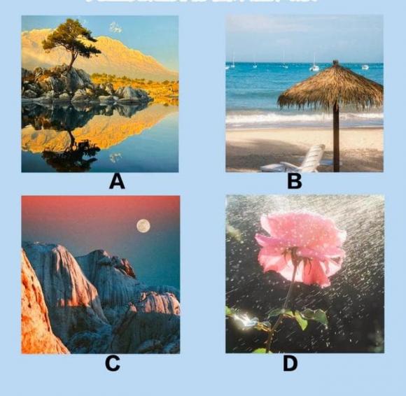 phong-canh.jpg 0 trắc nghiệm, quiz