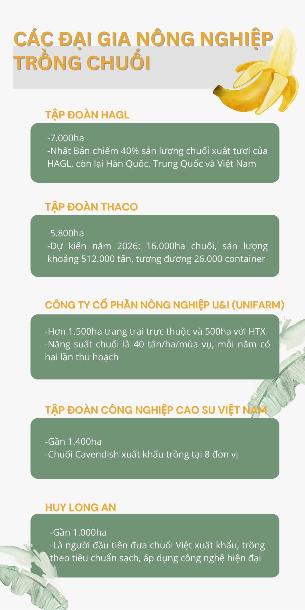'Trái cây hạnh phúc' của Việt Nam khiến Nhật Bản, Trung Quốc tranh phần nhập khẩu, một loạt đại gia chạy đua mở rộng diện tích- Ảnh 2.