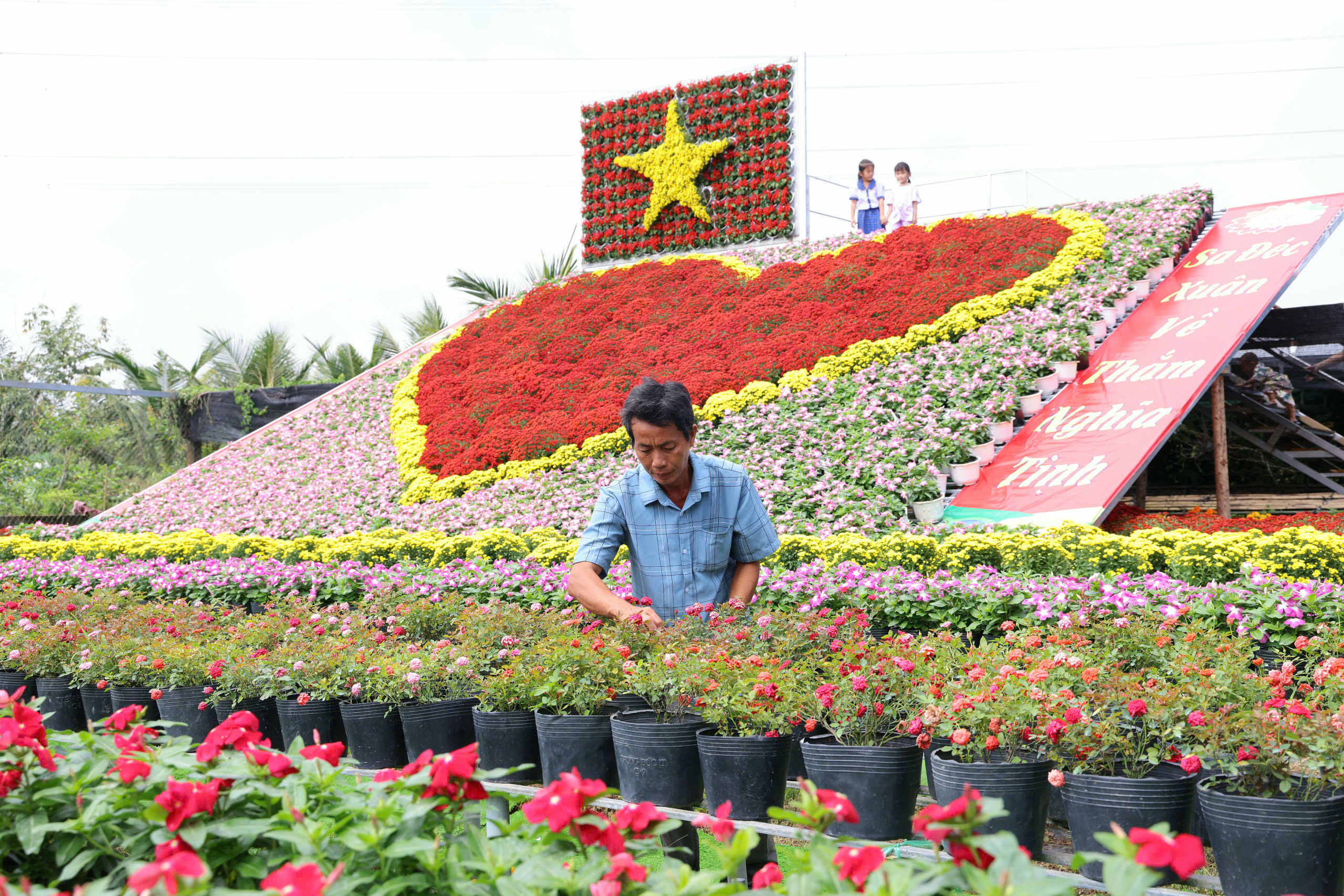 'Trái tim làng hoa' gây sốt ở Sa Đéc- Ảnh 1.