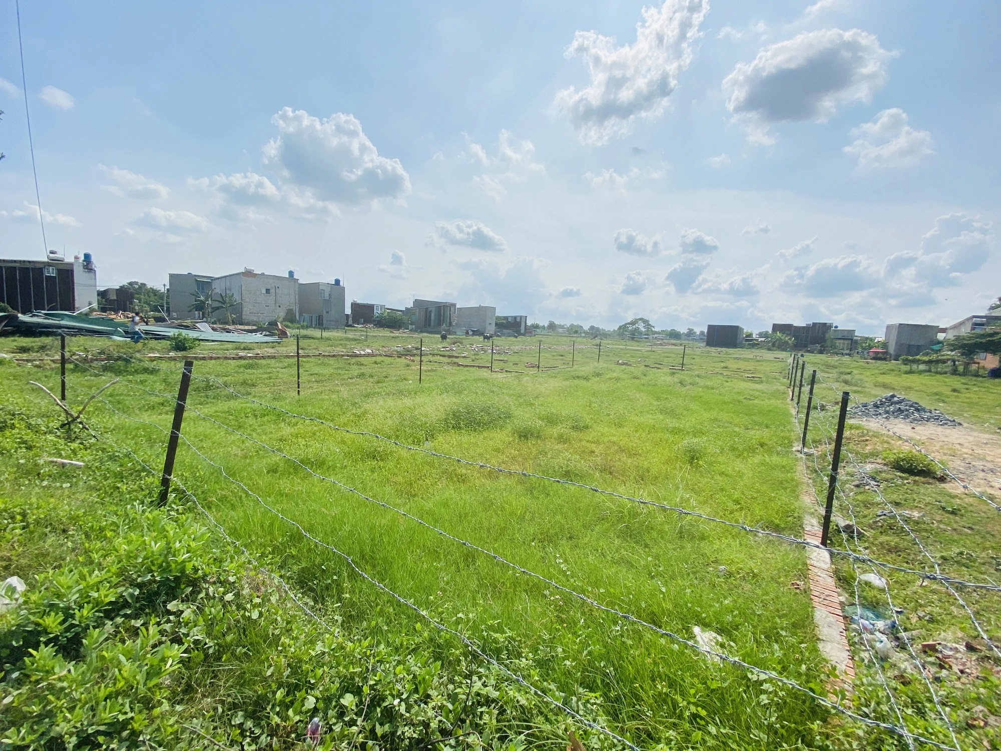 Tranh cãi giá đất nông nghiệp tại TP.HCM- Ảnh 1.