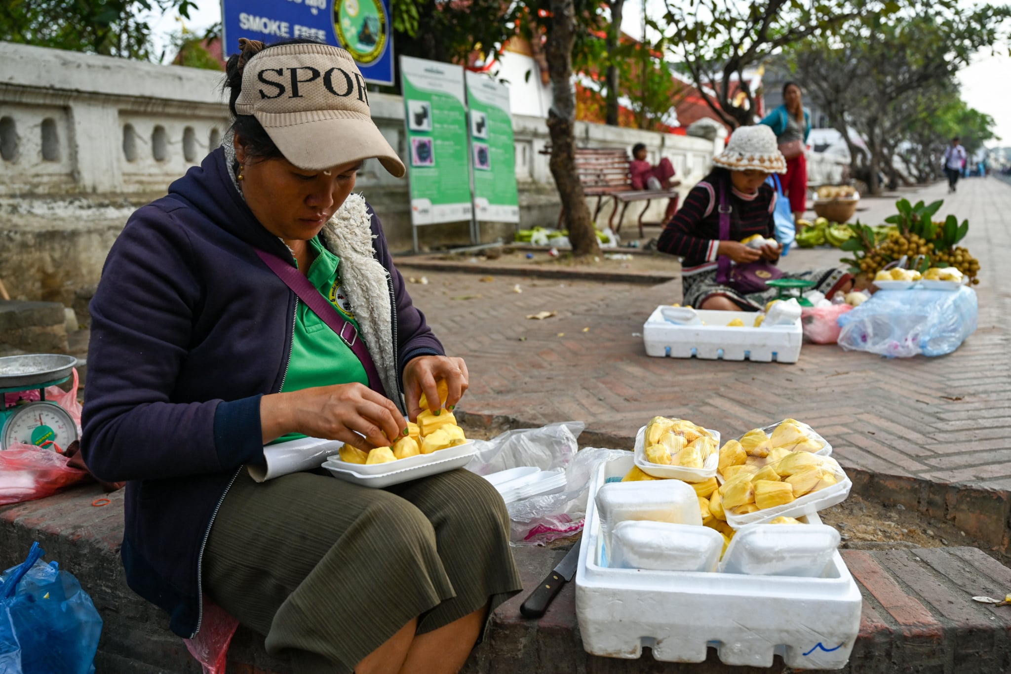 Việt Nam - Ảnh 1.