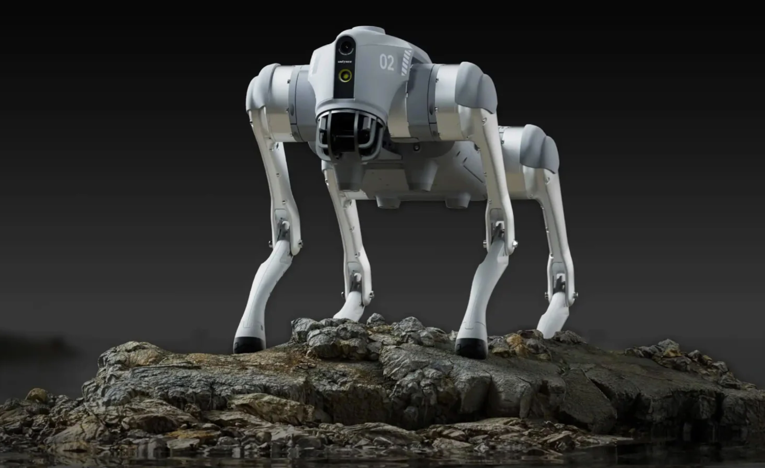 Trung Quốc ra mắt dịch vụ cho thuê robot hình người để làm việc, kể cả ma chay cưới hỏi...- Ảnh 2. Trung Quốc ra mắt dịch vụ cho thuê robot hình người để làm việc, kể cả ma chay cưới hỏi...- Ảnh 2.