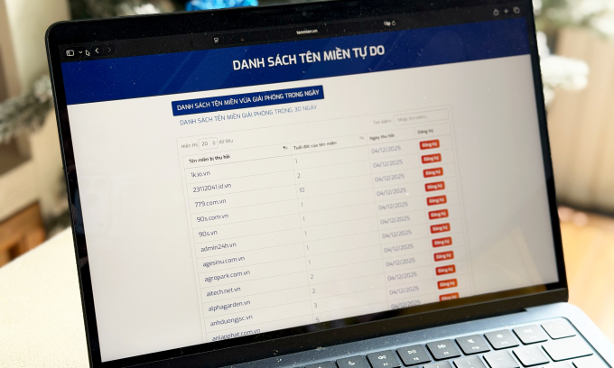 Danh sách các tên miền tự do trên website của VNNIC ngày 4/12. Ảnh: Lưu Quý