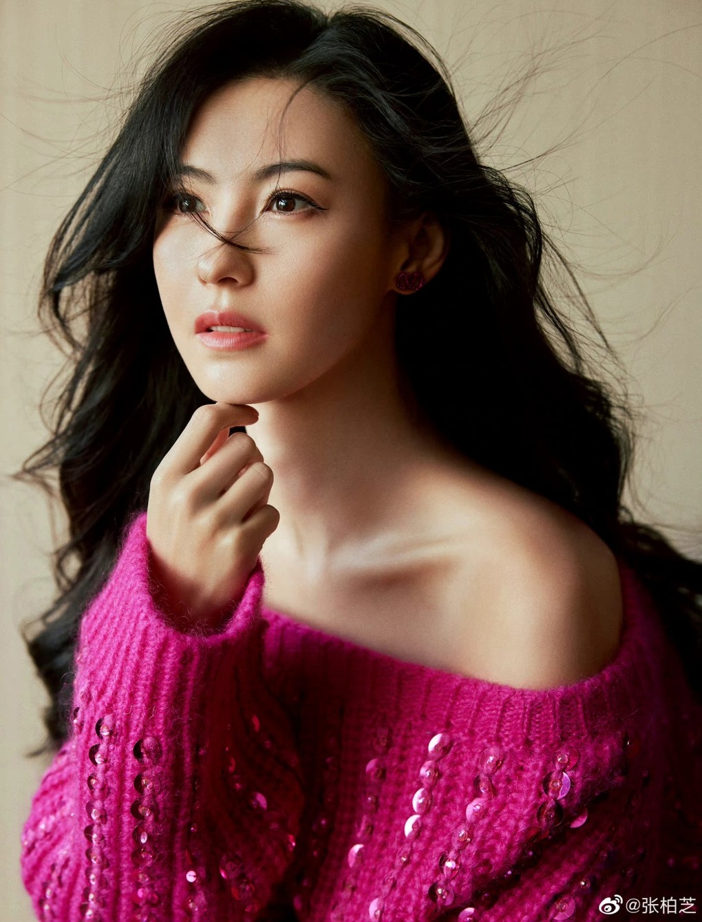 Trương Bá Chi lập di chúc ở tuổi 45, chuẩn bị sẵn hậu sự - 1