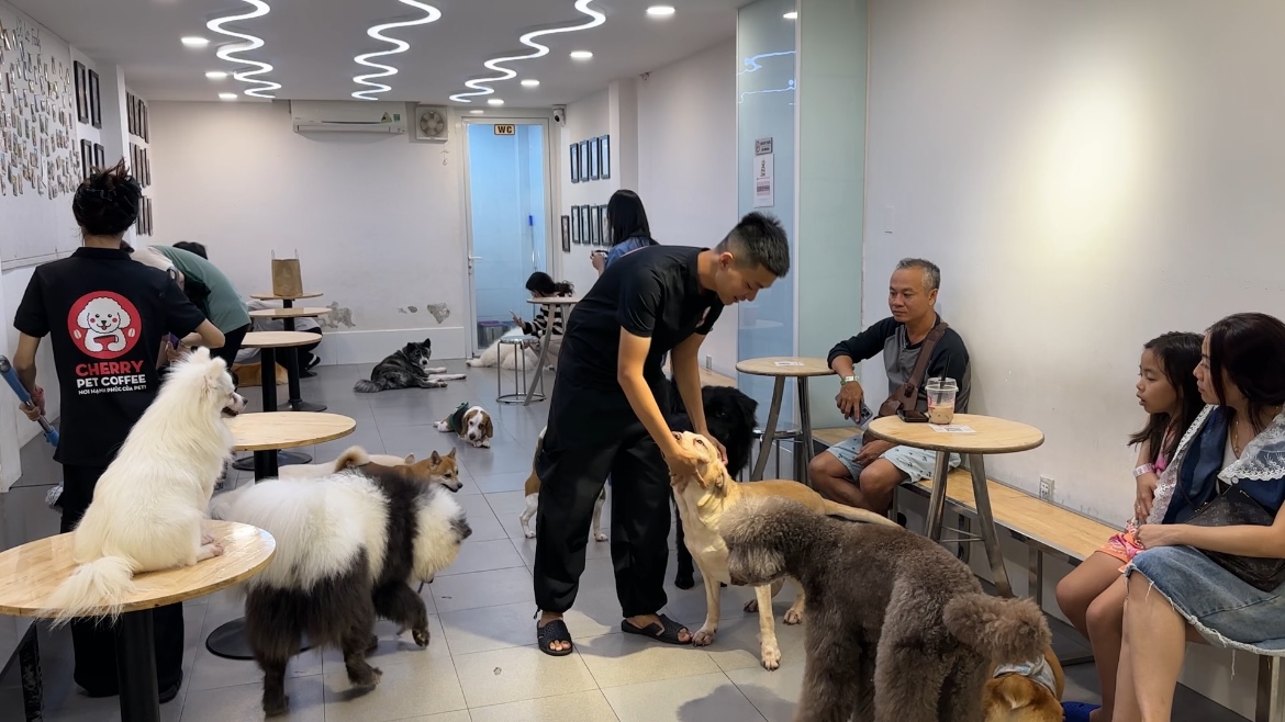 Truy nã thanh niên “Chill Sài Gòn", chuyện 330 triệu đồng 2 Thông tin nổi bật tại TPHCM ngày 11-12: - Ảnh 2.