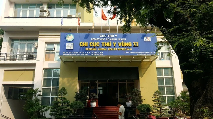 Chi cục Thú y Vùng VI. Ảnh: TRẦN LINH truy-to-cuu-lanh-dao-chi-cuc-thu-y-vung-vi-tiep-tay-duong-day-buon-lau-tri-gia-1-800-ti-dong-.jpeg