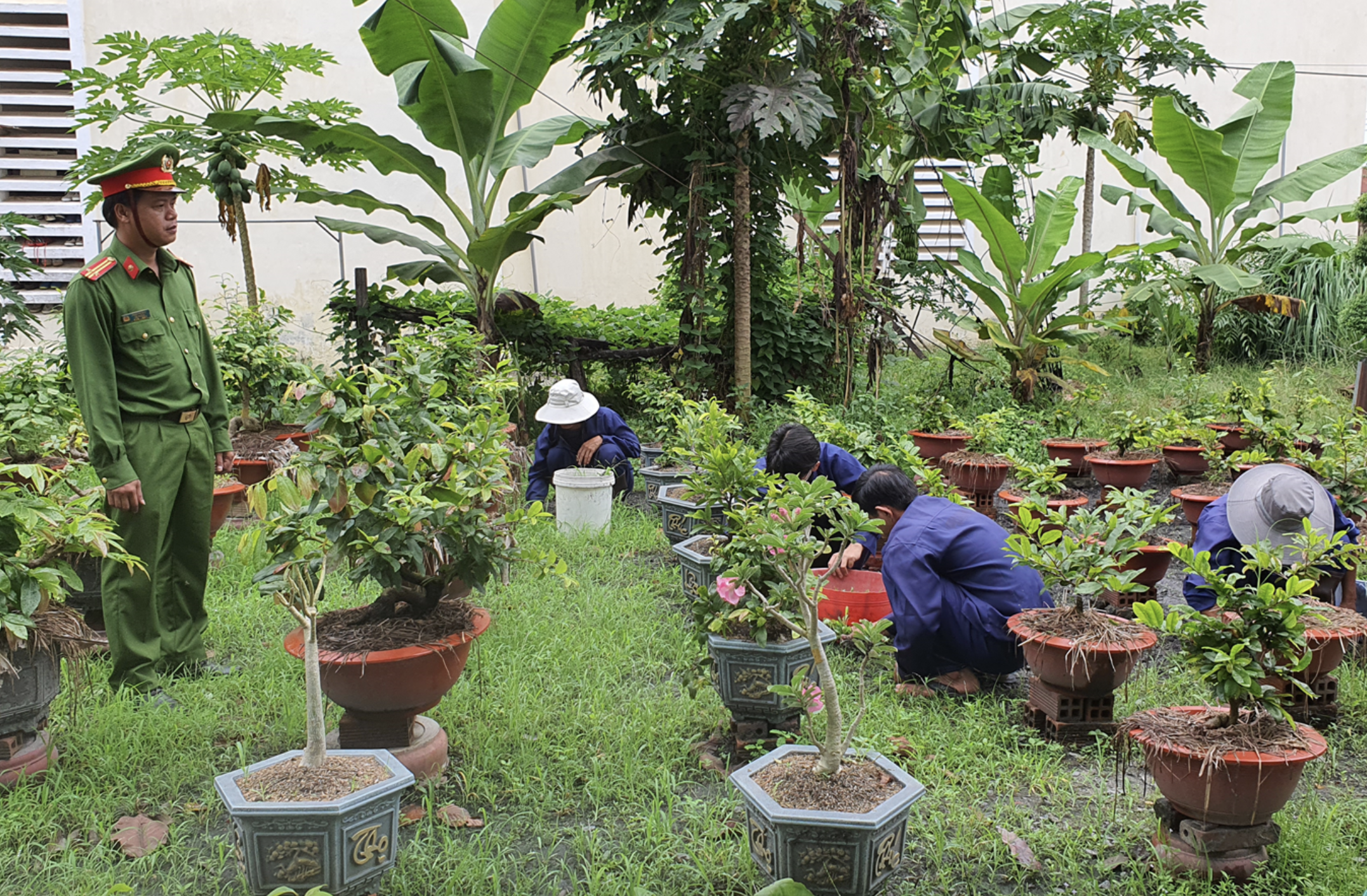 Từ 1.7.2026, phạm nhân được hiến tạng cho người thân thích- Ảnh 2. Từ 1.7.2026, phạm nhân được hiến tạng cho người thân thích- Ảnh 2.