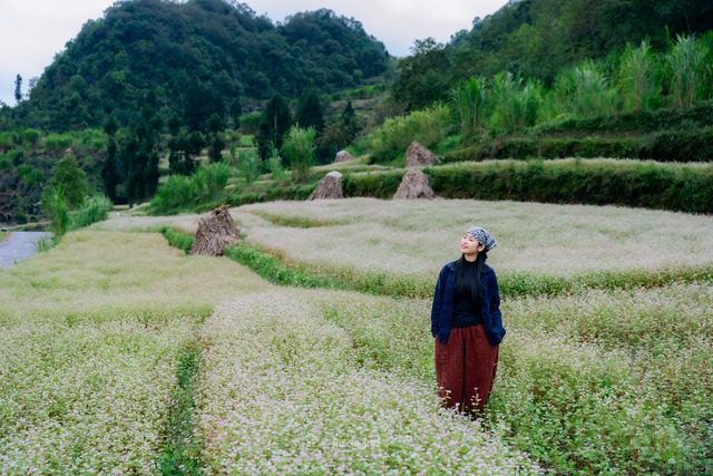 Từ đảo ngọc đến cao nguyên đá, câu chuyện mùa lễ hội cuối năm thú vị- Ảnh 1. Từ đảo ngọc đến cao nguyên đá, câu chuyện mùa lễ hội cuối năm thú vị- Ảnh 1.