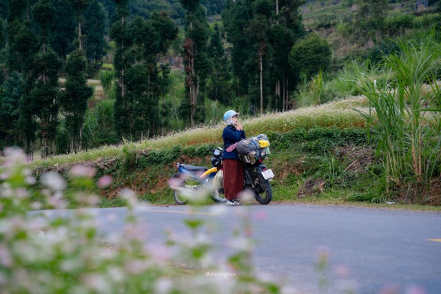 Từ đảo ngọc đến cao nguyên đá, câu chuyện mùa lễ hội cuối năm thú vị- Ảnh 2. Từ đảo ngọc đến cao nguyên đá, câu chuyện mùa lễ hội cuối năm thú vị- Ảnh 2.