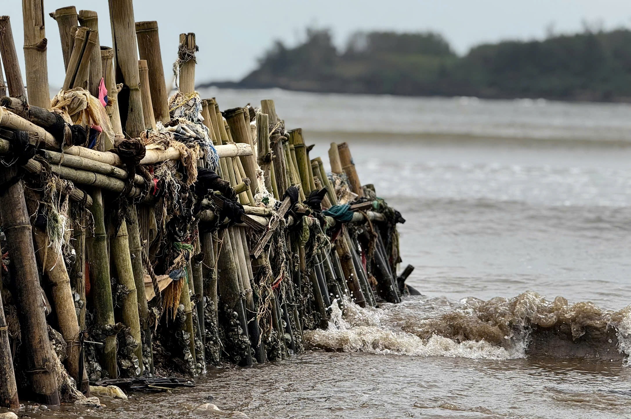 Tự dựng kè cứu nhà, người dân vẫn bất lực trước triều cường dữ dội 1 Tự dựng kè cứu nhà, người dân vẫn bất lực trước triều cường dữ dội - Ảnh 1.
