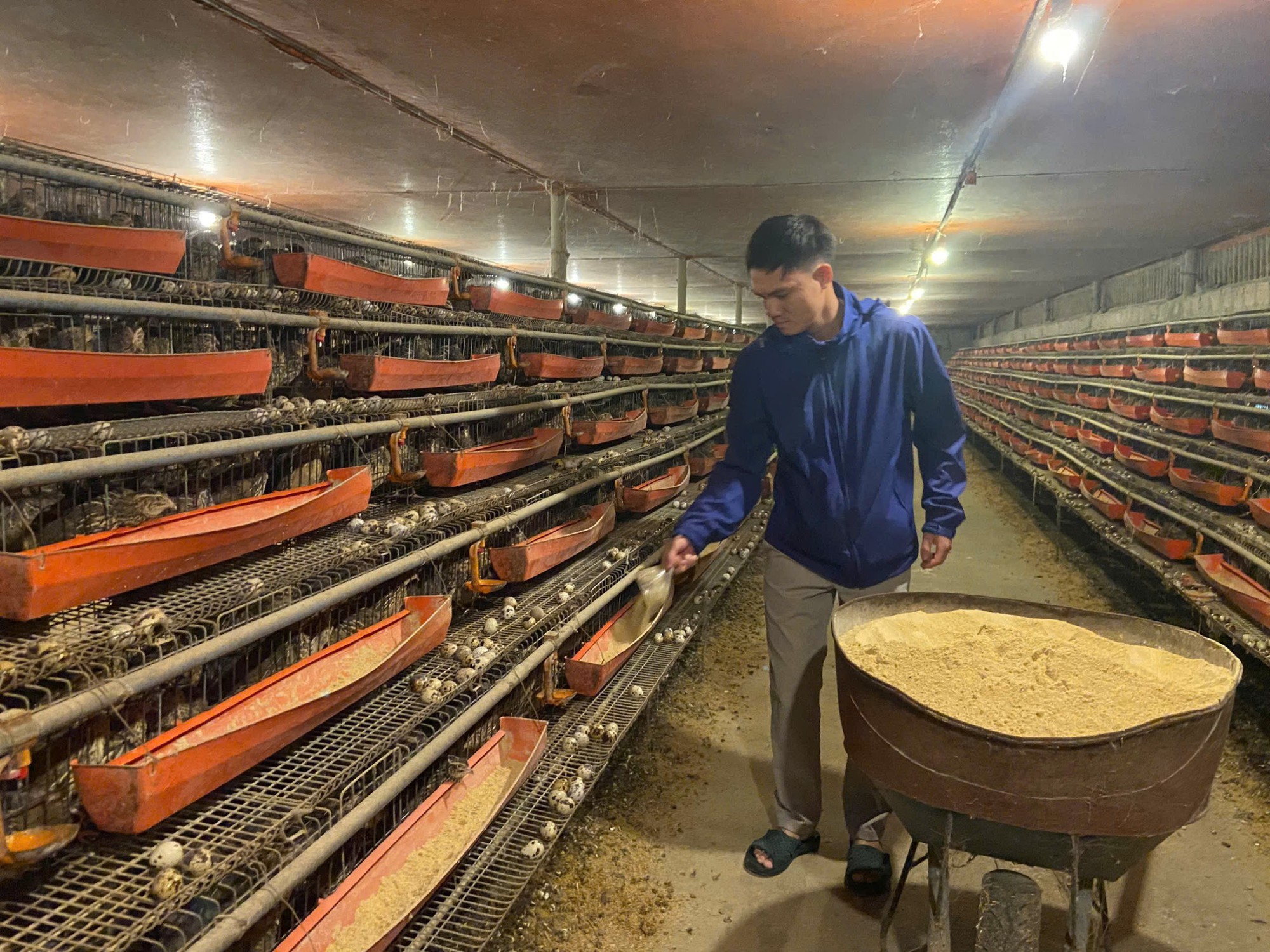 Từ hai bàn tay trắng, chàng trai trẻ trở thành triệu phú nhờ nuôi con 