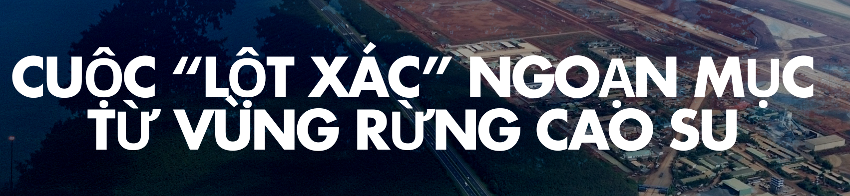 - Ảnh 1. - Ảnh 1.