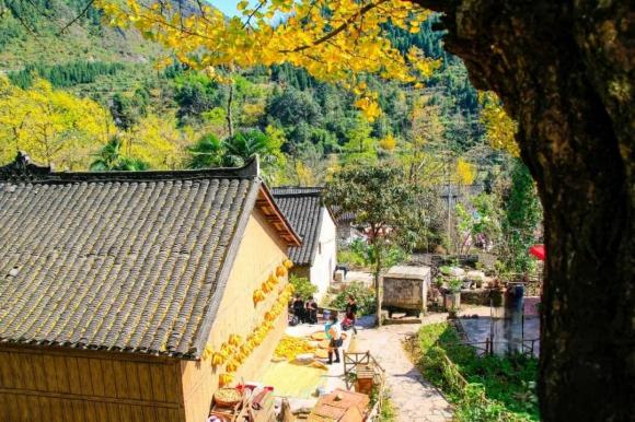 loi-dan-to-tien-ngoisaovn-w1080-h720 2 Người qua năm đời phải dời mộ, nhà ở ba đời ắt phải đi