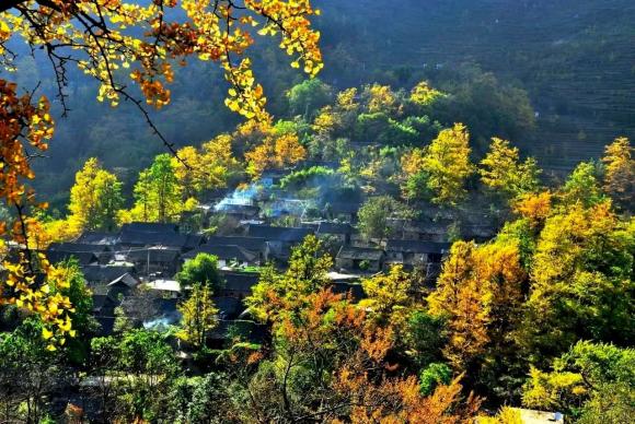 loi-dan-to-tien-ngoisaovn-w1280-h857 1 Người qua năm đời phải dời mộ, nhà ở ba đời ắt phải đi