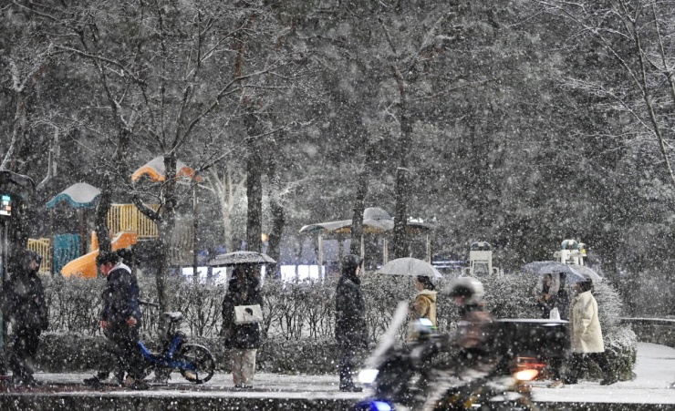 Tuyết đầu mùa phủ trắng Seoul - 1