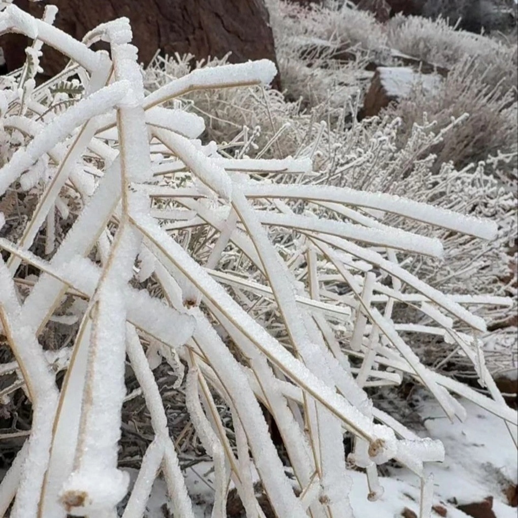 Tuyết rơi bất thường ở sa mạc nắng gắt khô cằn sau 30 năm: Chuyện khó lường - 2