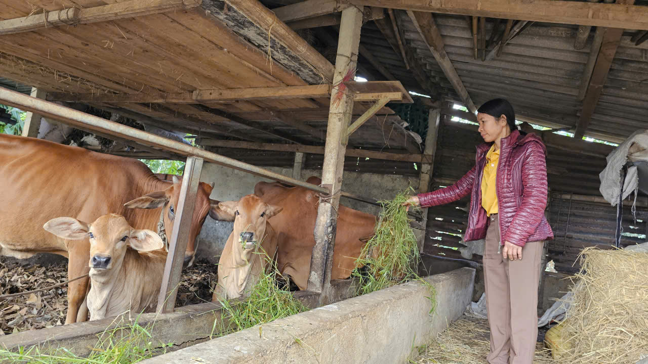 Vay không lãi, khi trả lại tiền đúng hạn người dân được tặng thêm 4 triệu đồng 1 Vay không lãi, khi trả lại tiền đúng hạn người dân được tặng thêm 4 triệu đồng - Ảnh 1.