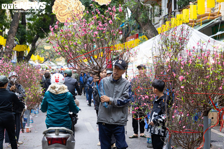 Vì sao dân mạng nói 