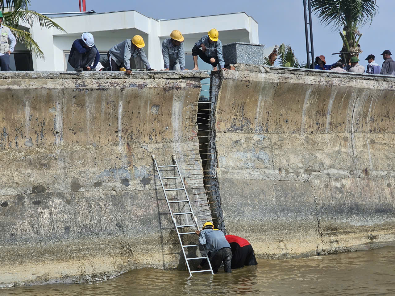 Vì sao kè biển dự án 12.000 tỉ đồng ở TP.HCM bị sập?- Ảnh 1.