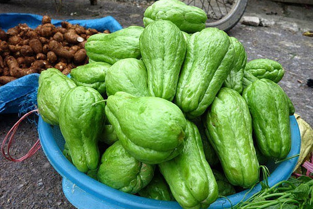 Vì sao người có axit uric cao nên ăn nhiều trái su su? - 1