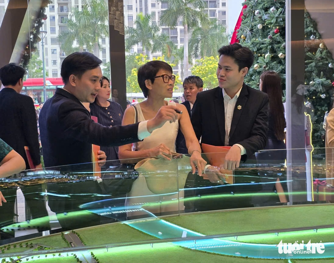 nhà phố - Ảnh 1.